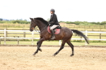 SBM_003345