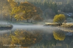 Valley In The Mist