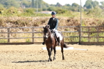 SBM_000739
