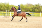 SBM_003943