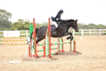 SBM_001131