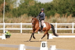 SBM_000252