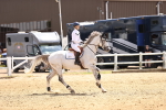SBM_001798