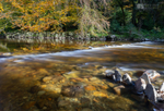 Autumn reflections, Afon Mawddach