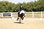 SBM_003684