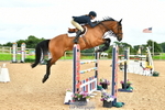 Cls 5 National 1.30m portfolio