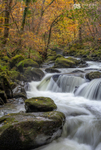 Autumn falls, Afon Clywedog
