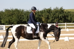 SBM_006509