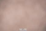 240802A-145038-05330