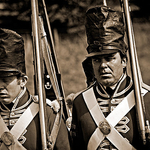 Wellington's Soldiers
