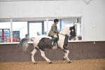 Ridden Showing Supreme Championships portfolio