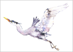 Flying Heron limited edition print 698