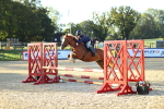 SBM_14694