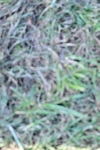 SBM_19843