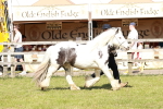 SBM_08553