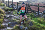 Langdale -961
