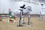 SBM_003641