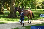 324-DRUMGIVEN_MR_CHARISMA-Jeanette_Brakewell-WEDTrotUp+DR portfolio
