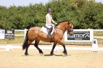 SBM_004004