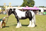 SBM_08854