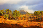Misty Torridon Mountains     ref 1101