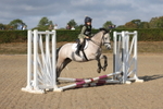 20260830-0100