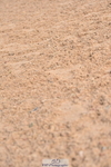 231101A-114346-00119