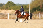 SBM_018019