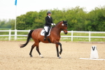 SBM_006567