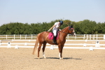 SBM_005034