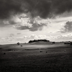 Billings Hill (square format)