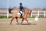 SBM_001971