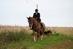 WJ6_9419