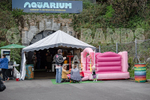 Aquarium Pop-up Gig 2019-1