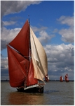 SB Thistle (3)