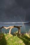 'From the Sun's Rising...' Exhibition Prints portfolio