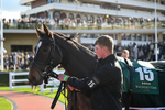 251025-Race 3-Hoe Joly Smoke-8384