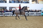 SBM_003378