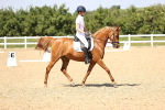 SBM_010068