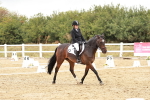 SBM_003622