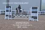 BPP_4231