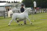 SBM_00500