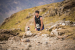 Newlands  TWA-440