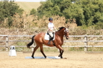 SBM_002975