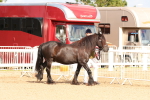 SBM_10924