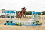 SBM_018998