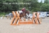 BPP_9194