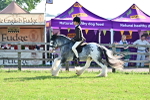 SBM_11515