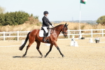 SBM_016908