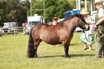 SBM_01838